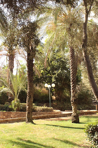 File:Abramovitch Garden IMG 7752.JPG