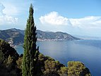 Alassio from Capo Mele.jpg