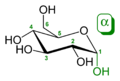 D-glucosum α-D-glucopyranosum formans. C1 in cormatione alpha (O deorsum)