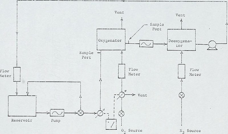 File:Analytical and experimental study of blood oxygenators and pulmonary mass transfer in liquid breathing (1971) (17981694518).jpg