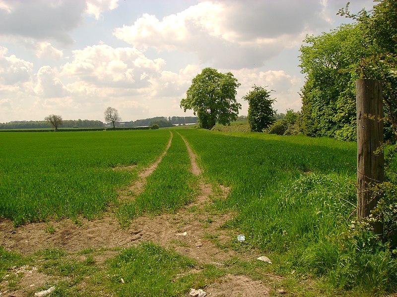 File:Arable fields southeast of Cherry Burton - geograph.org.uk - 1877084.jpg