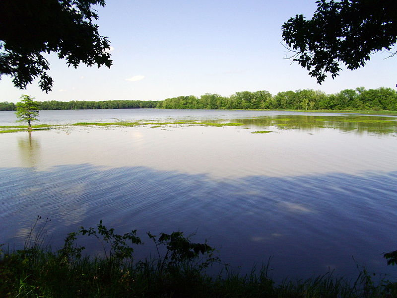 File:Arkansas River at Arkansas Post 003.jpg