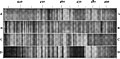 Arrhenius - L’évolution des mondes, 1910 - Fig-59.jpg