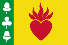 Augustinusga flag.svg
