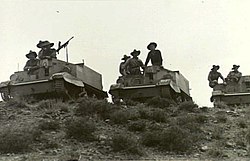 Porte-avions du 2-4e bataillon d'infanterie australien Syrie (AWM photo 021259) .jpg