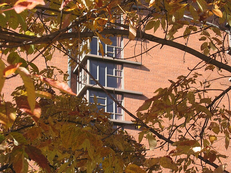 File:Autumn at the Chapel of the Resurrection 11.JPG