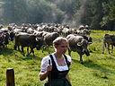 Bad Hindelang - Viehscheid - Hinterstein nw 05