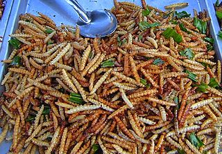 Bamboo worms | Eating bugs in Thailand