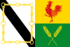 Bandiera di Xinzo de Limia