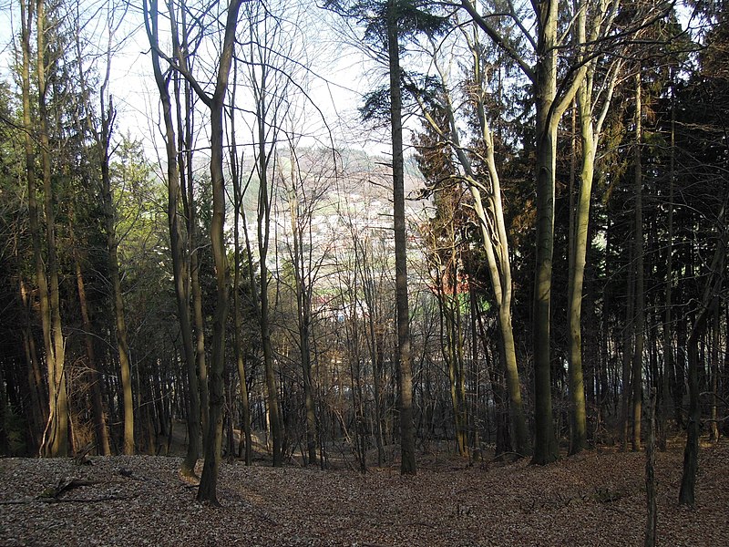 File:Bečevná (10).jpg