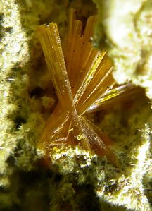 Becquerelite-Uranophane-uraninite-201144.jpg