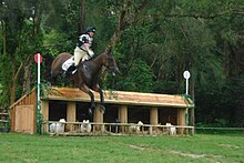 An Irish competitor in eventing at the Games Beijing2008 HKB27.JPG