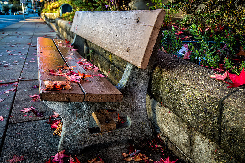 File:Bench with leaves (15857157362).jpg