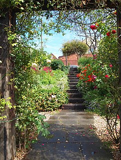 Quarry Steps, Durdham Down