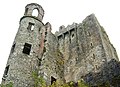 Blarney Castle, Blarney - geograph.org.uk - 2840010.jpg