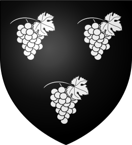 Blason Etienne de Vignolles (La Hire) .svg