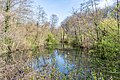 * Nomination Pond of the stream “Lottenbach” in Bochum --Carschten 16:58, 26 December 2023 (UTC) * Promotion  Support Good quality. --Velvet 09:01, 27 December 2023 (UTC)