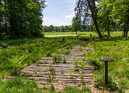 Bohlenweg Wittemoor msu 2547