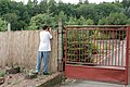 Čeština: Obec Borotín v okrese Blansko. Wikipedista fotografující přes plot uzavřené arboretum.