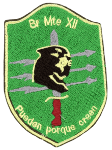Shoulder patch showing an animal face, a knife and three arrows on a green background