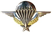 Brevet parachutiste de poitrine de l'armée française.