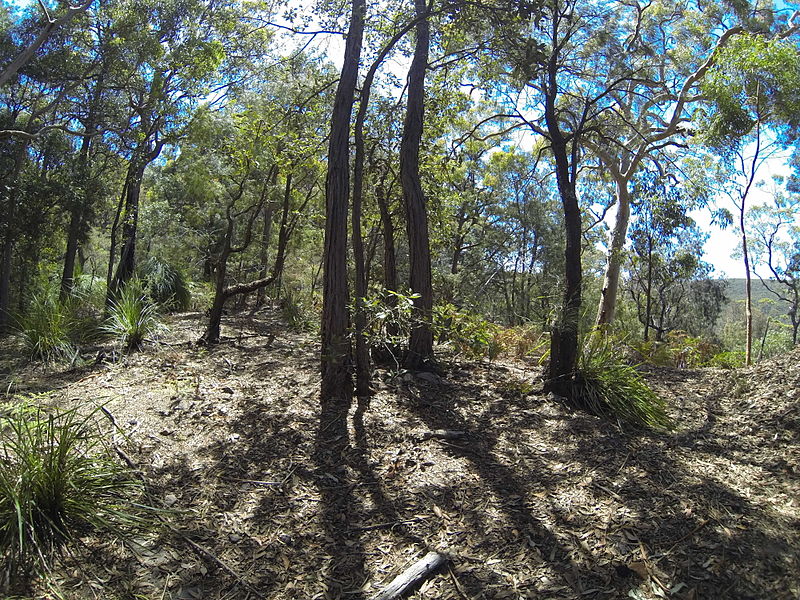 File:Brisbane Waters National Park (13813818344).jpg