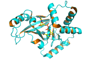 <span class="mw-page-title-main">Clostridium botulinum C3 toxin</span>