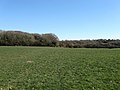 Calves Lodge Mead - geograph.org.uk - 1744545.jpg