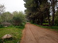 Camino en Villa Ventana.jpg
