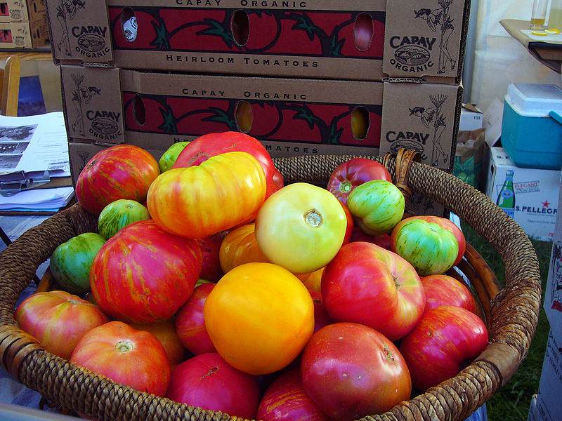 File:Capay heirloom tomatoes at Slow Food Nation.jpg