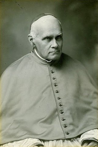 <span class="mw-page-title-main">Louis Billot</span> French Catholic cardinal (1846–1931)