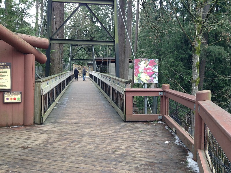 File:Cascade Canyon Trail.jpg