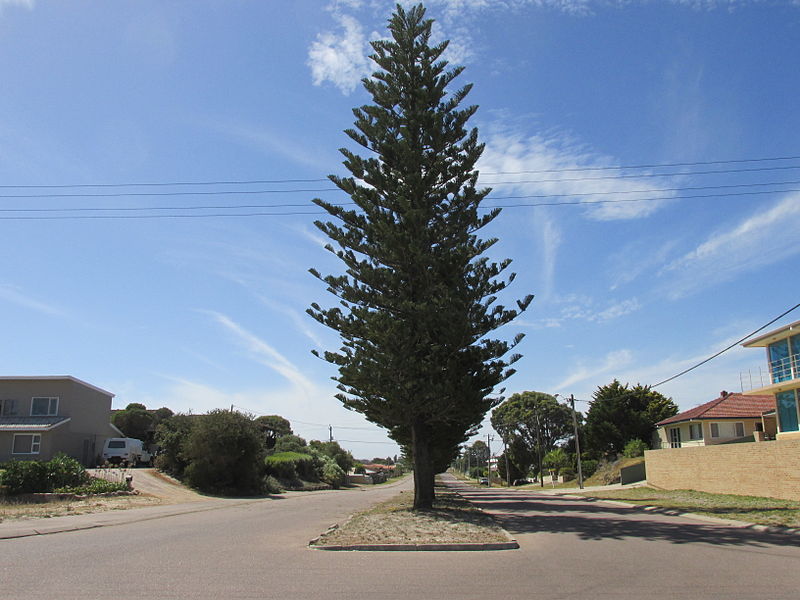 File:Castletown E - Chaplin Street looking N.jpg