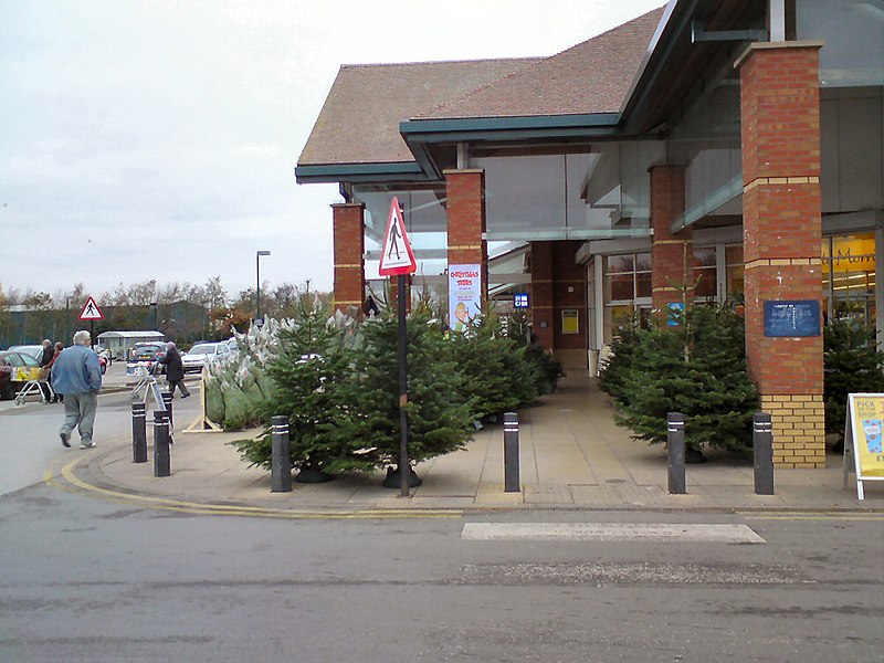 File:Christmas Trees at Morrisons - geograph.org.uk - 3773234.jpg