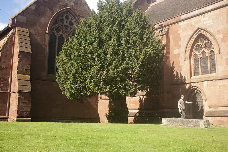 File:Church of St. Leonard, Bridgnorth, Shropshire 07.jpg