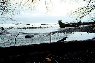 Clallam Bay, Washington Census-designated place in Washington, United States