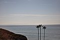 Classic Pacific Coast (142340983).jpeg