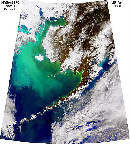 A true color SeaWiFS image of a coccolithophore phytoplankton bloom off of Alaska