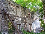 Colden Mansion Ruins