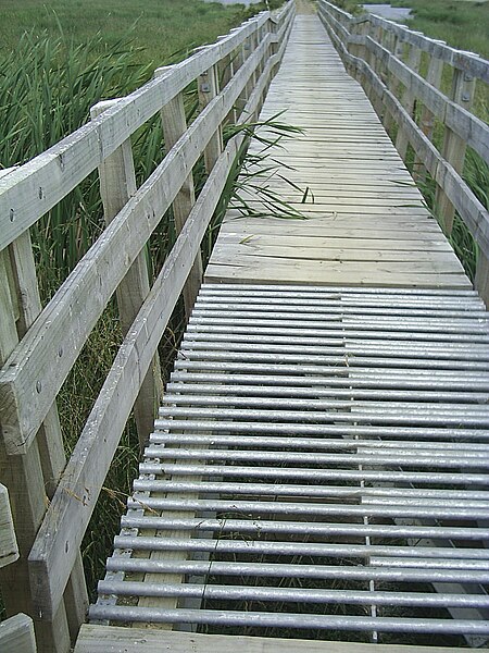 File:Combined cattle grid and bridge near kaituna lagoon.jpg