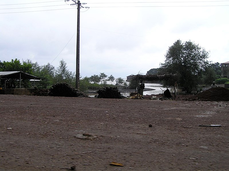 File:Conakry street (3328361243).jpg