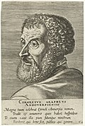 Cornelis Grapheus