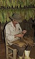 Culture_traditionnelle_du_tabac_à_Cuba_-_Préparation_de_la_feuille_de_tabac