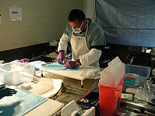 DNA recovery at the crash site DNA collection PA crash site.jpg