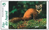 DPAG-20060601-pine marten.jpg