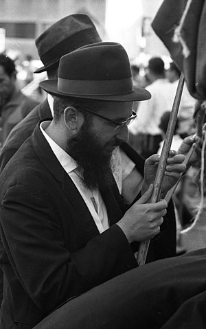 בדיקת לולב בירושלים, 1969