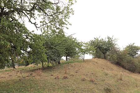 Der Hügelrest der Motte Schlossbuck bei Endsee im Süden