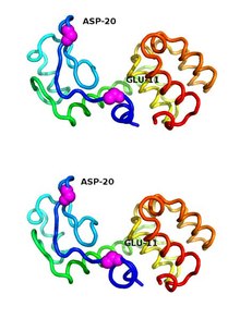 Файл: Detection-of-Functional-Modes-in-Protein-Dynamics-pcbi.1000480.s008.ogv