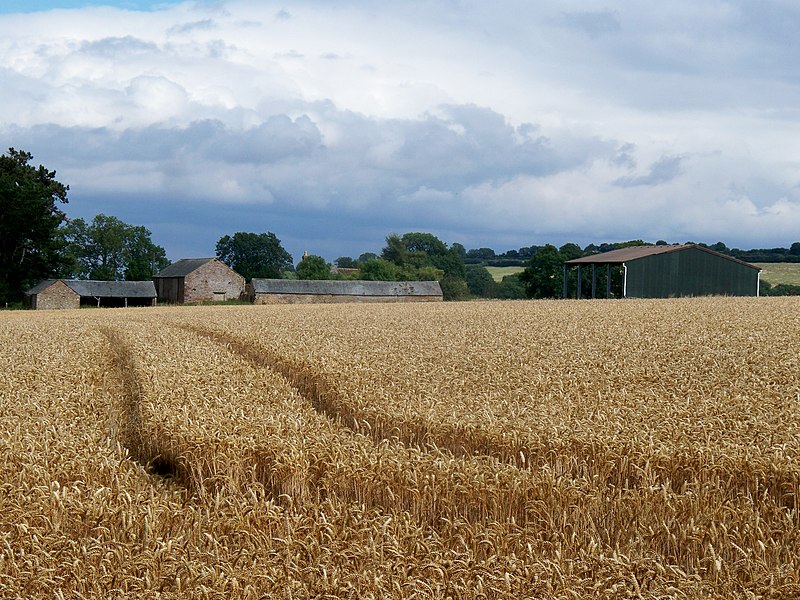 File:Doctor's Barn (1) - geograph.org.uk - 2005778.jpg