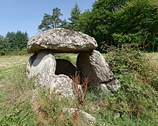 Dolmen de Boisseyre 2016-08-08 n02.jpg